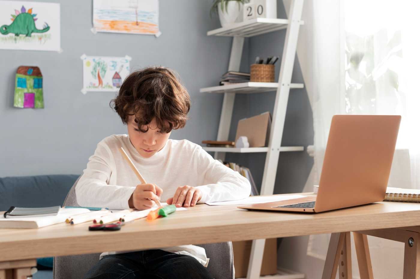 Elementary school student learning online